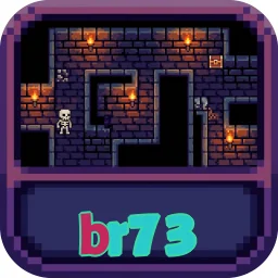br73